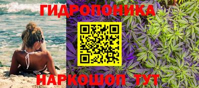a pvp Заводоуковск
