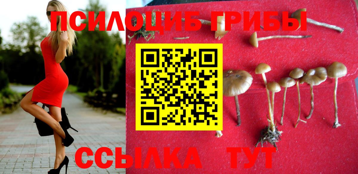 Богородицк  Гашиш  Конопля  Бошки Шишки  Вход с VPN  ГАШИШ  Мефедрон кристаллы  Кокаин 
