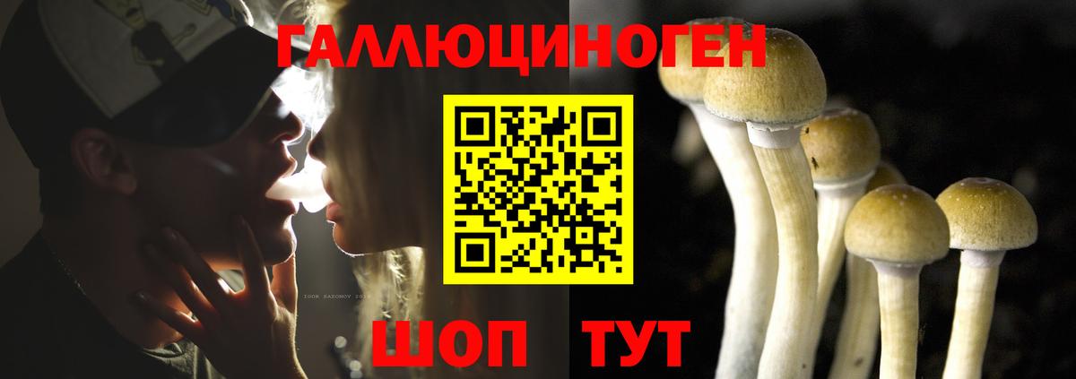 Псилоцибиновые грибы GOLDEN TEACHER  Галлюциногенные грибы Psilocybine cubensis  дарнет шоп  Вход с VPN  Богородицк 